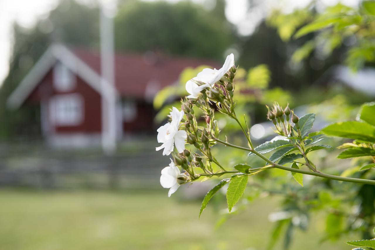 Borggarden Stugor Hultsfred Buitenkant foto